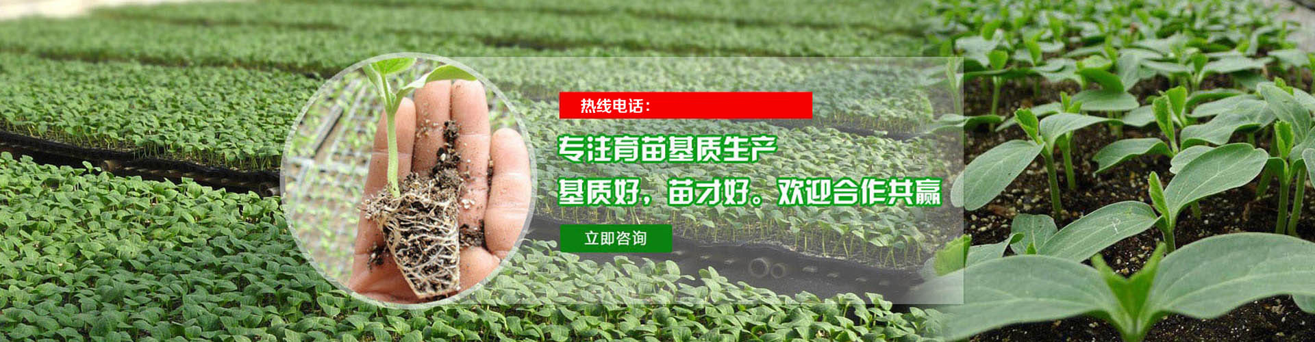 电脑幻灯片2